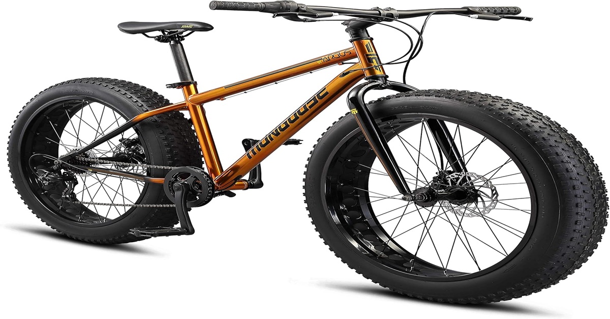 Mongoose Argus Trail fat tire mountain bike with 24-inch wheels for youth and adult riders.